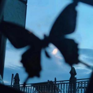 牲ZOZ〇性内交另
