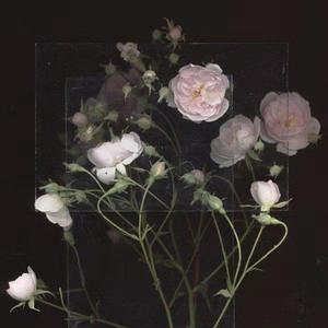 牲ZOZ〇性内交另
